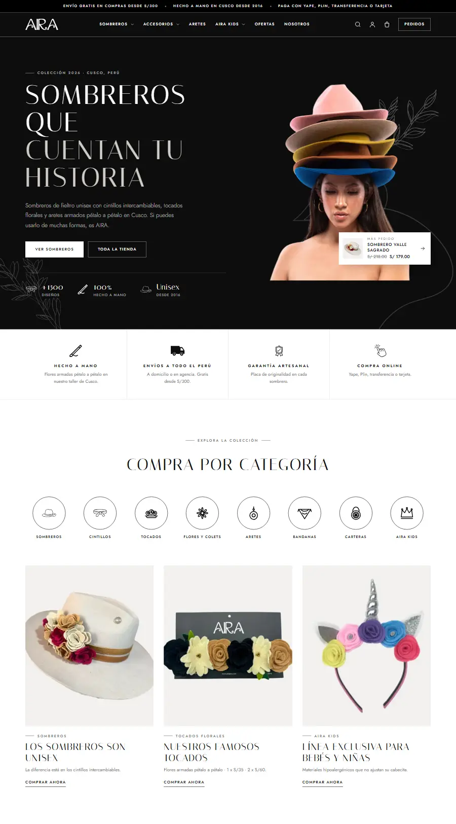 Página de inicio del sitio web de AIRA Perú